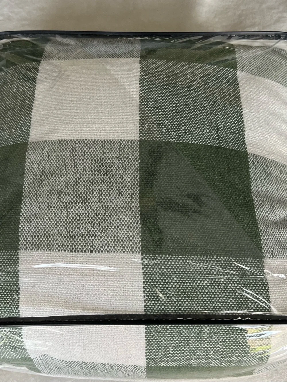 Pottery Barn Green and Cream Sawyer Check Pillow